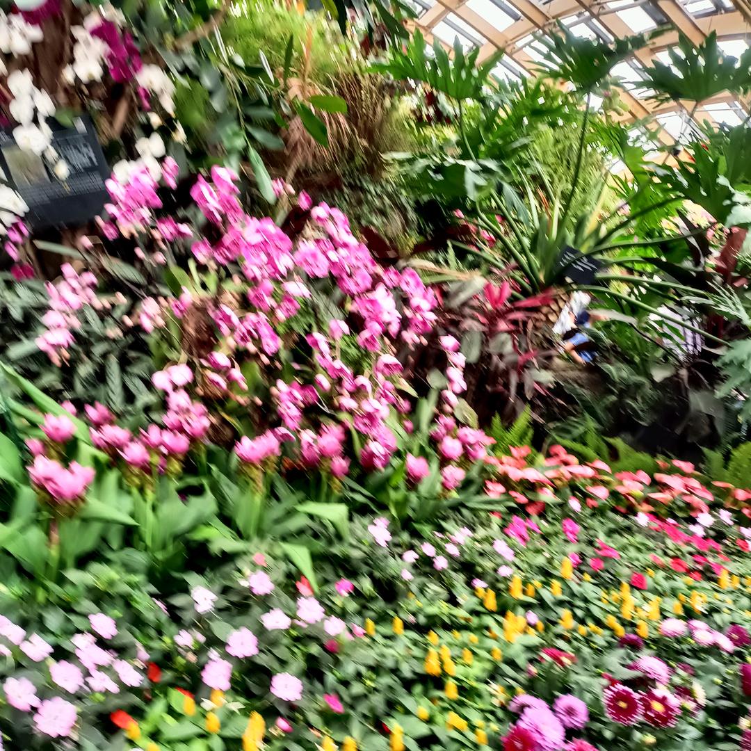 没有名字🌲🌲