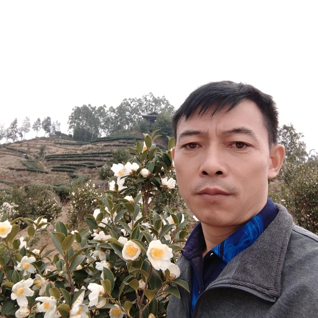 唐先森