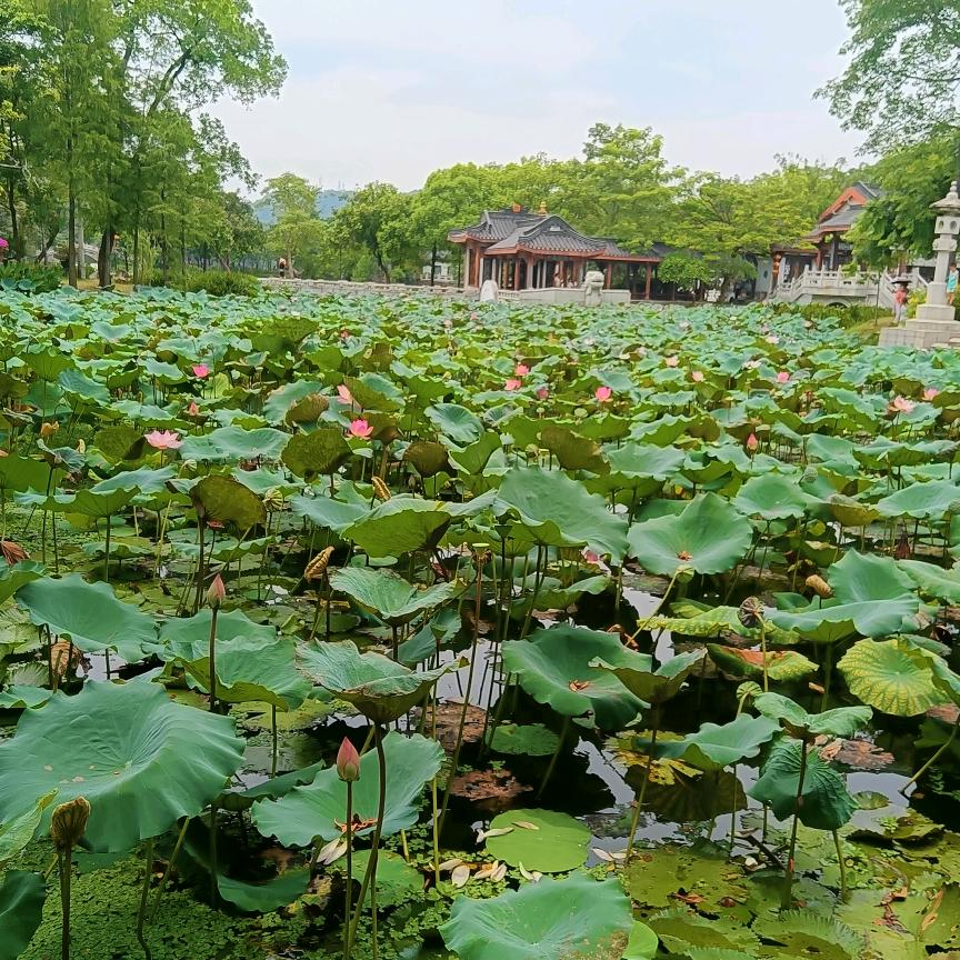 锦绣中华