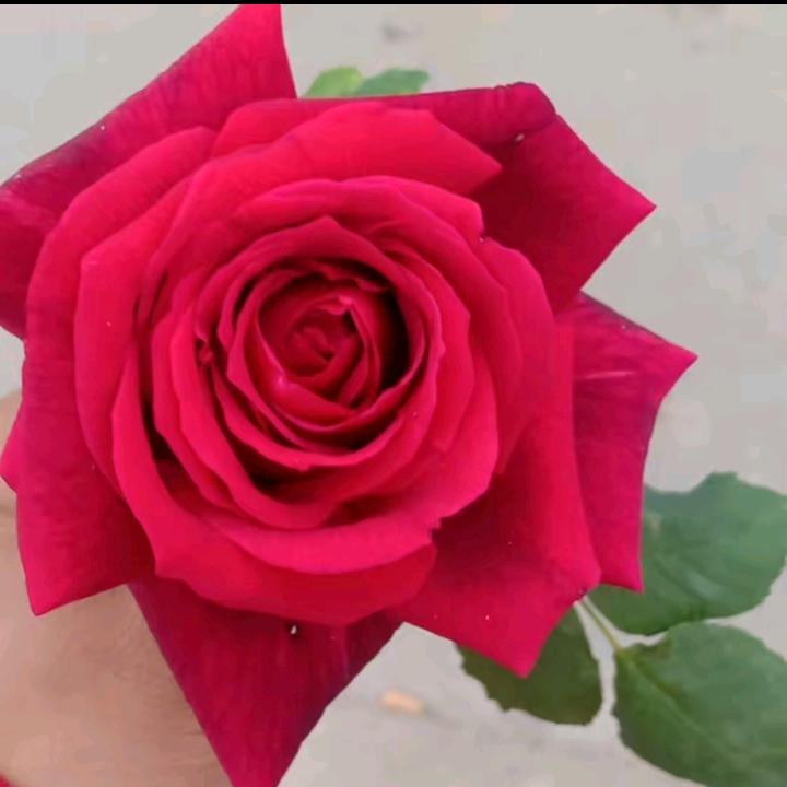 余生你宠我💋💋往后余生我陪你走💋