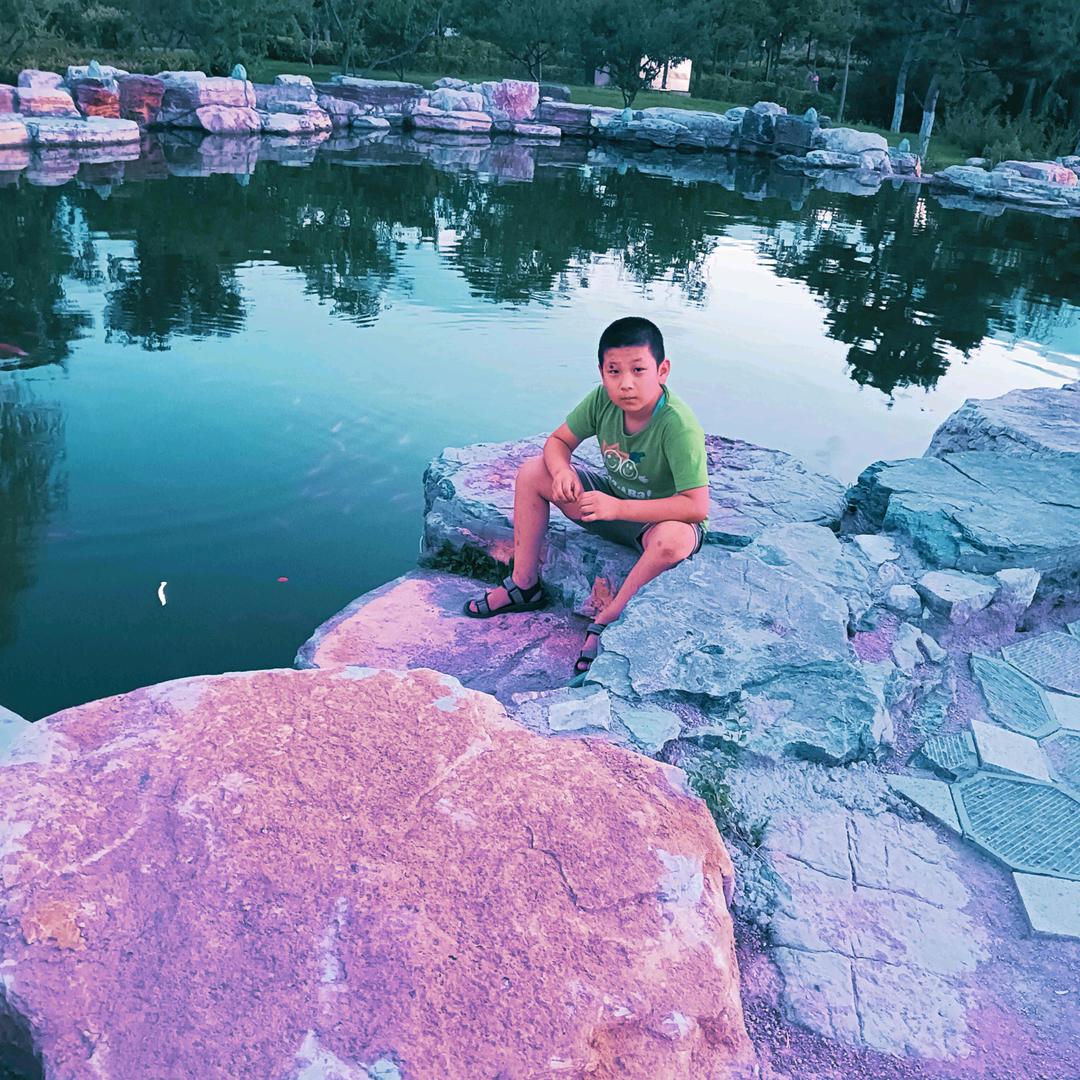 翠绿飞蛾🦋