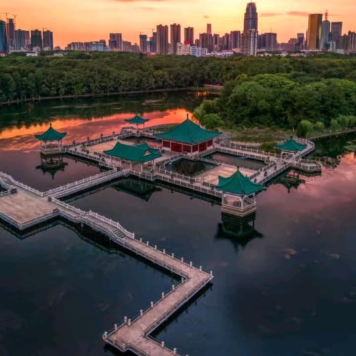 领航杂谈