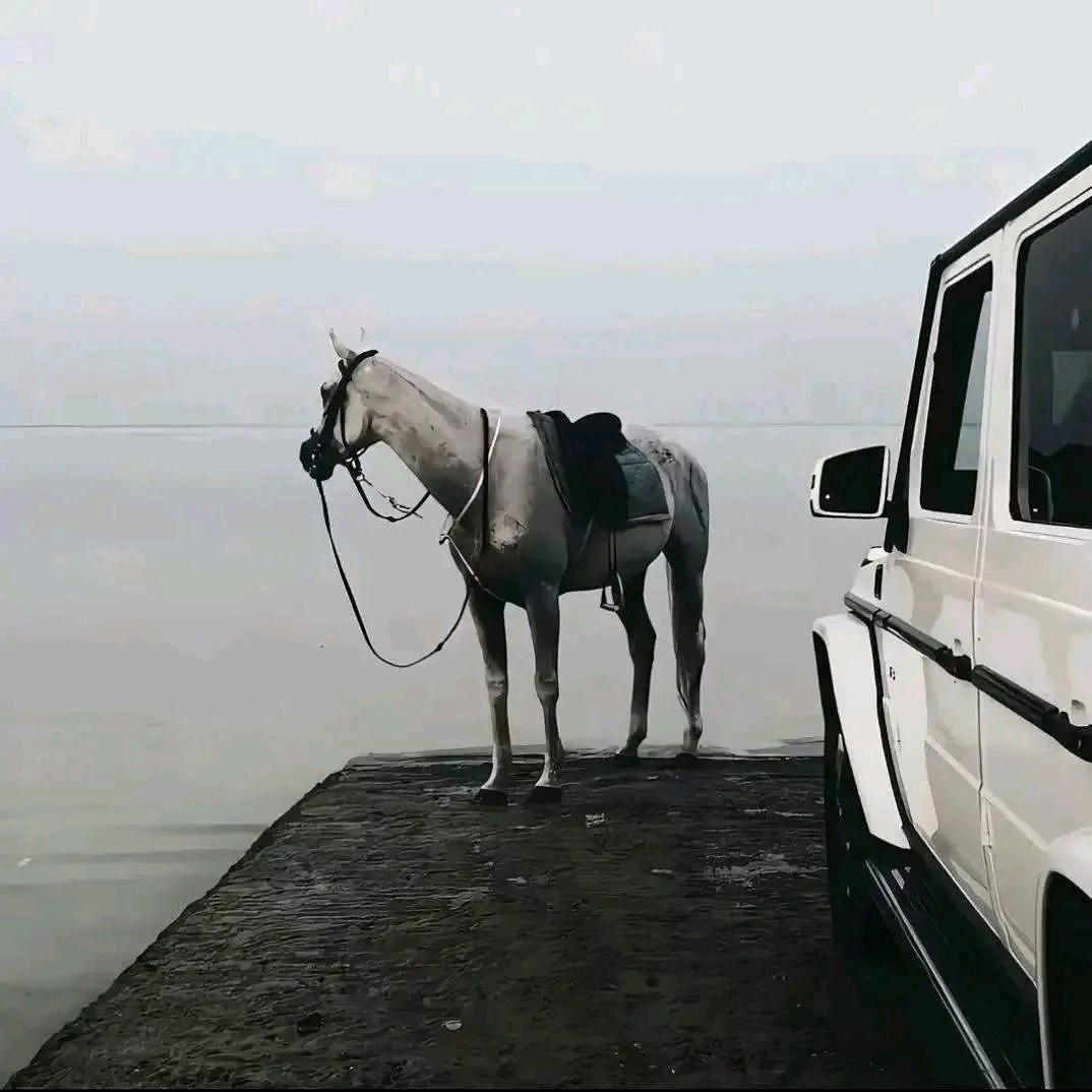 -       谋  生✨
