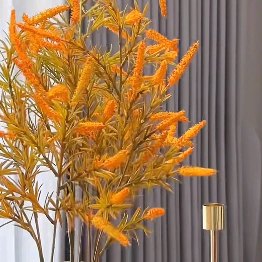 小辣椒