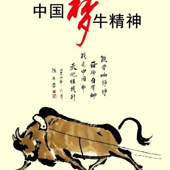 被大A凝视的每一天