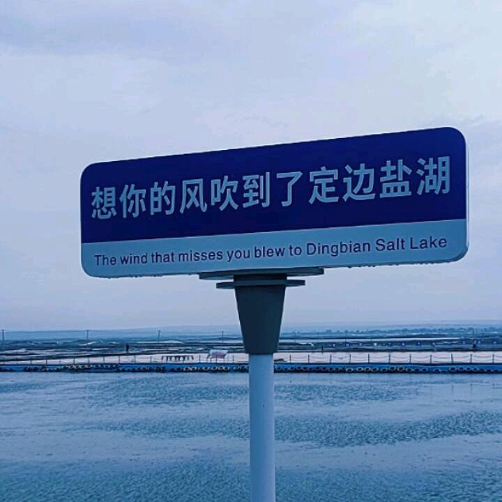 淡定