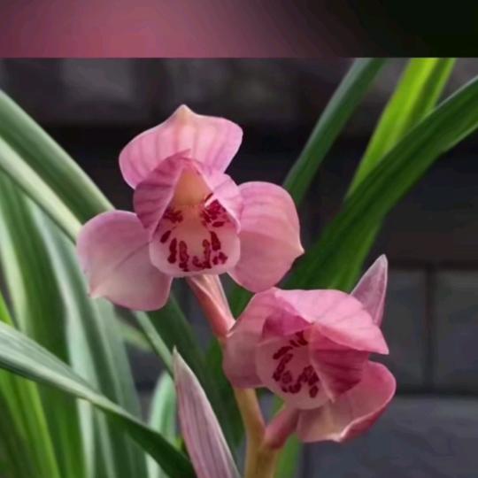 开启新生活