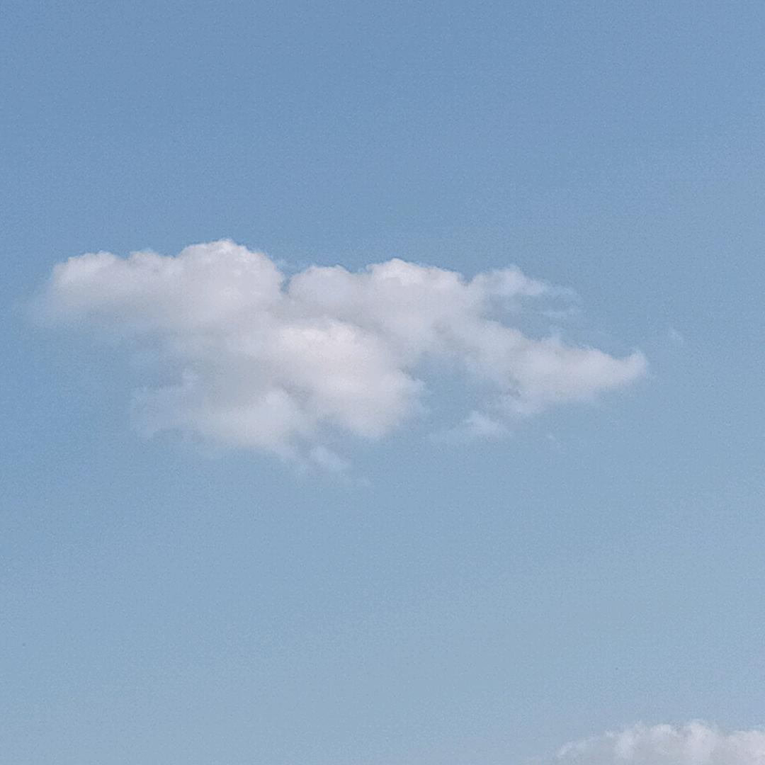 汤圆
