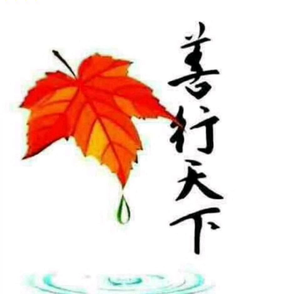 泉缘瓷痴