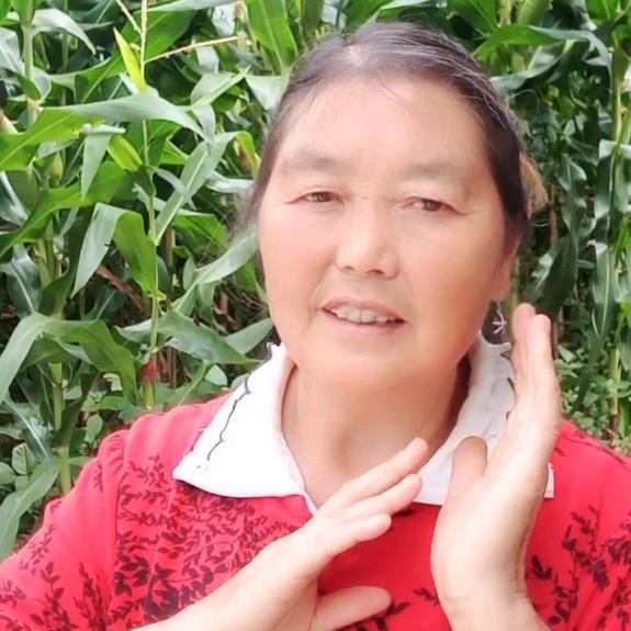 向大姐
