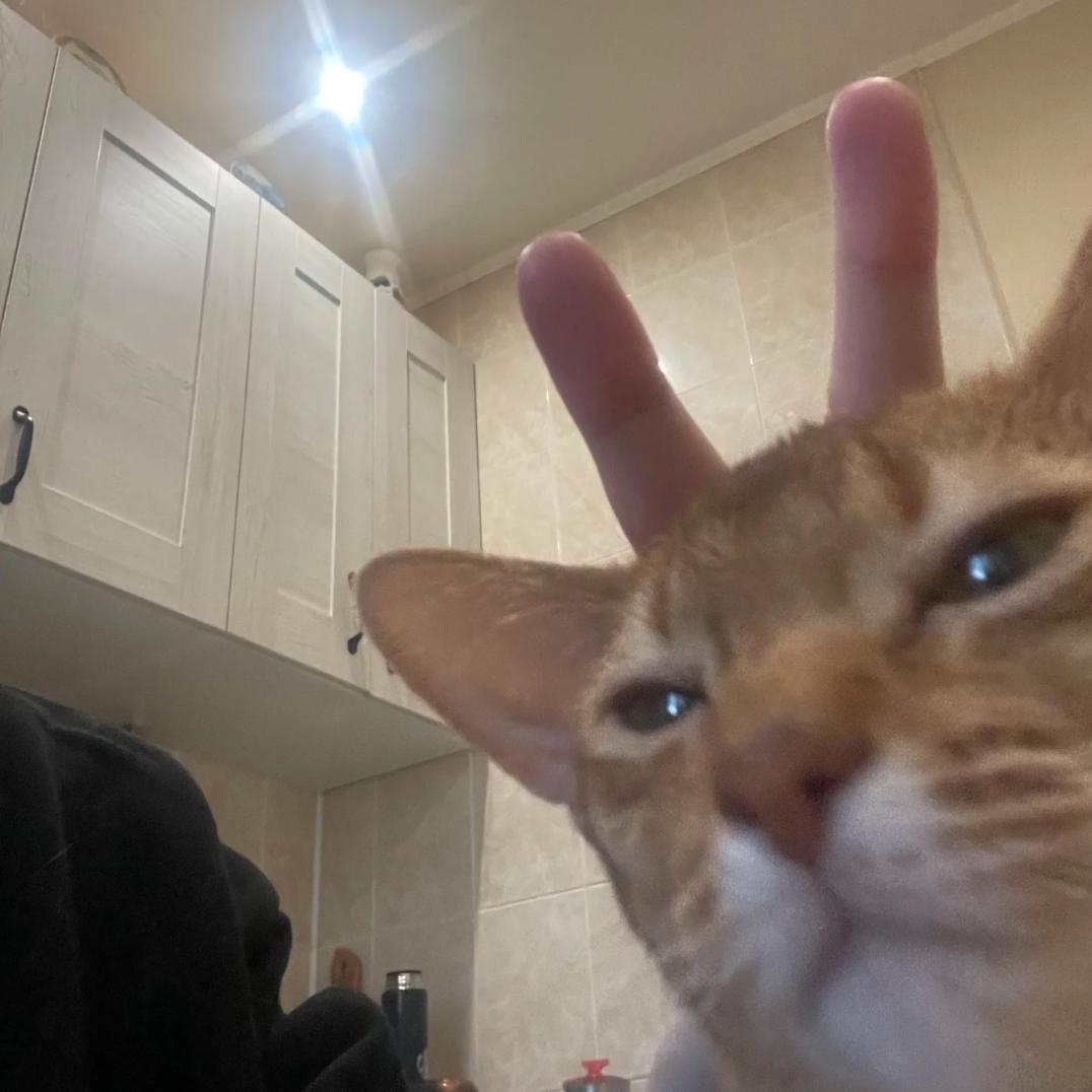 松鼠