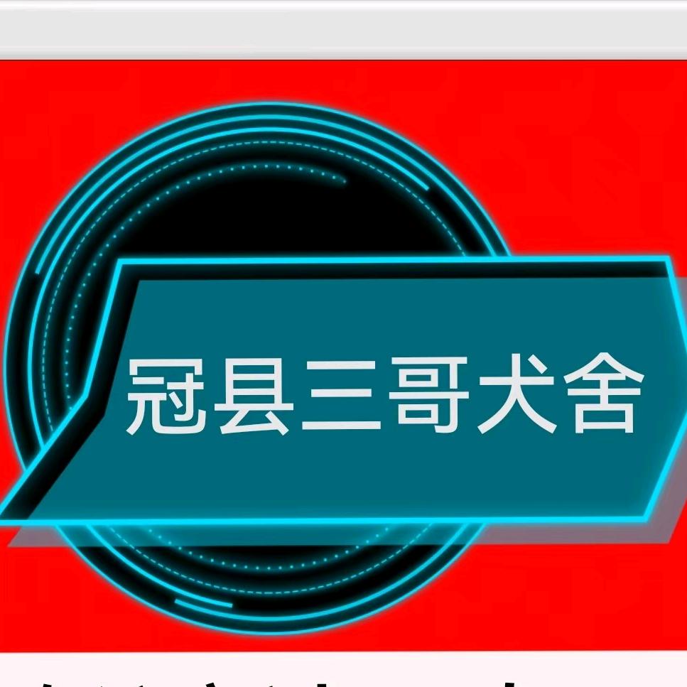 聊城，三哥