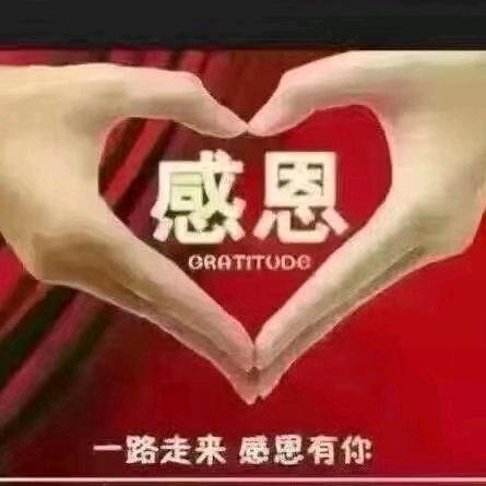 ☀️爱你不后悔☀️☀️