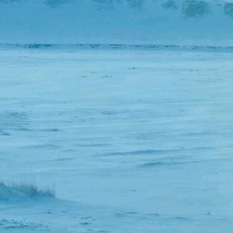 不遇倾城