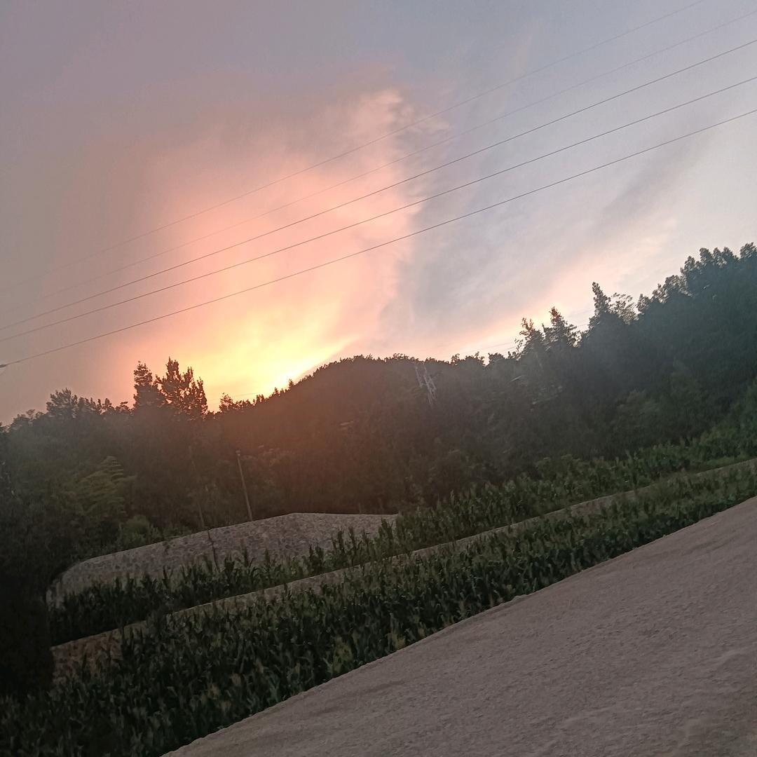 🥀⃟错把敷衍当承诺ꦿᭁ: 🥀⃟错把