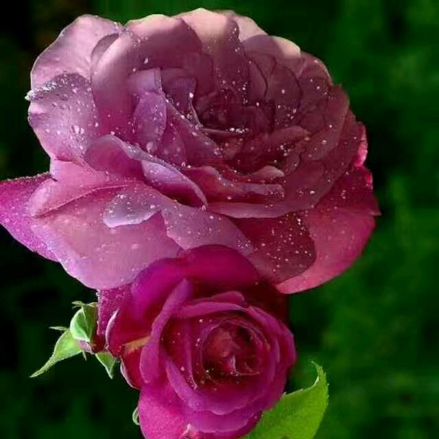 ࿐: এ᭄㜂💞孞ོ