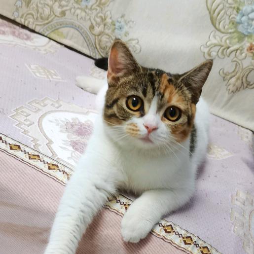爱生活 爱美食1
