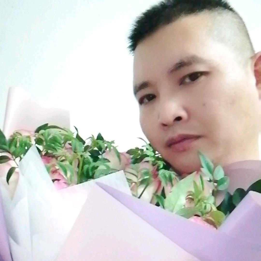 只为遇见你