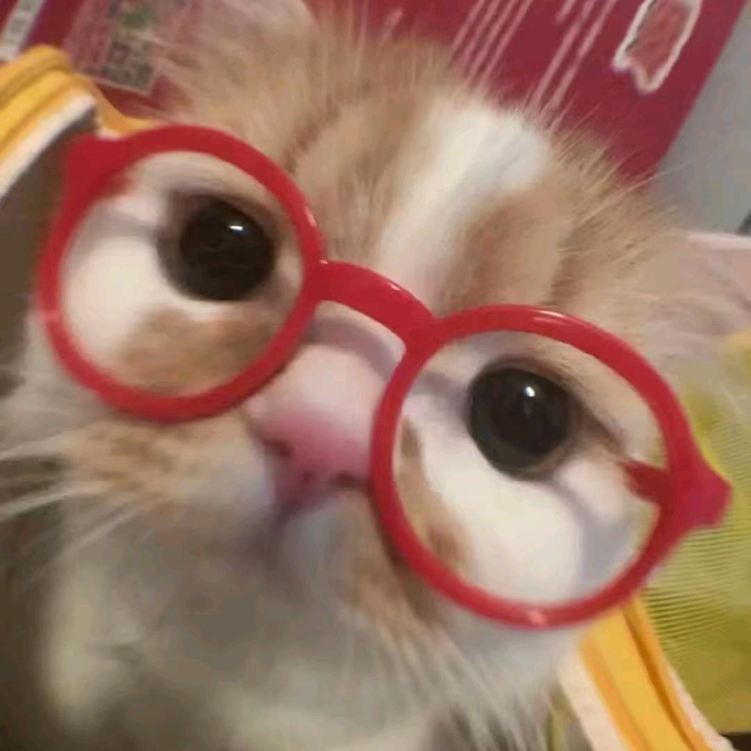 椰子水
