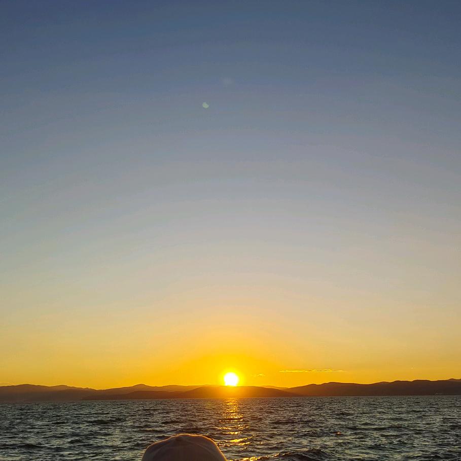 海棠