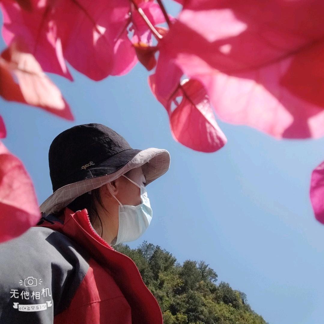 巴马-盧麗萍
