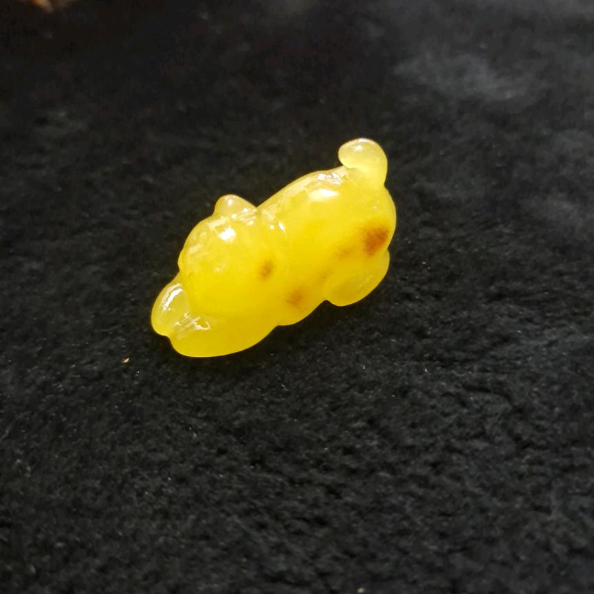 嘉康梦中人