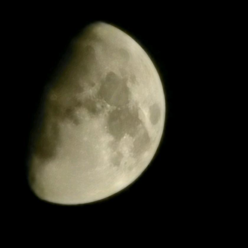 远古群星-狗狗本