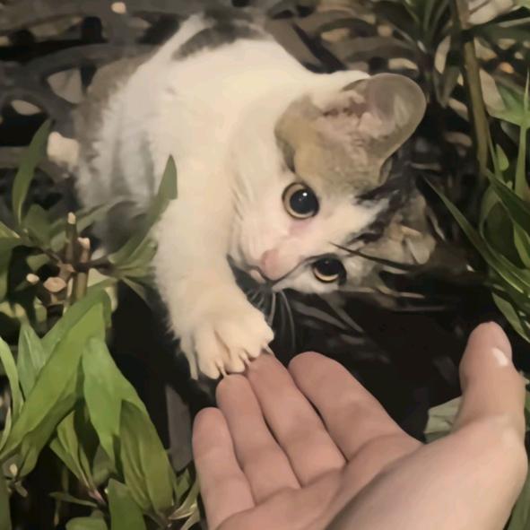 Racheal随性儿生活