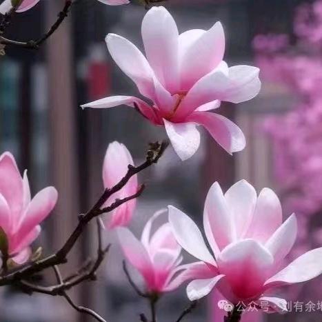 一念自在