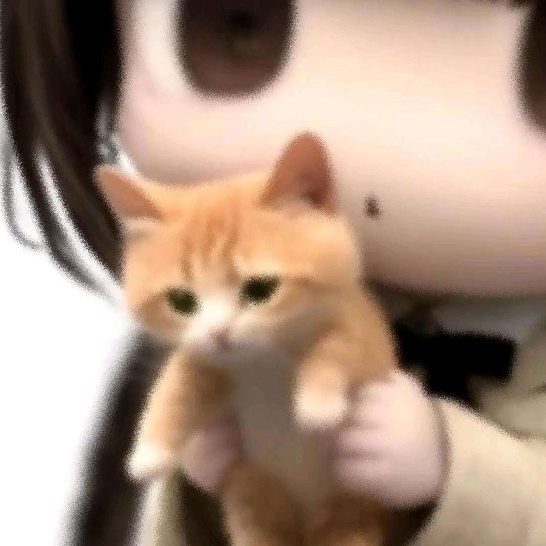 问题不大！