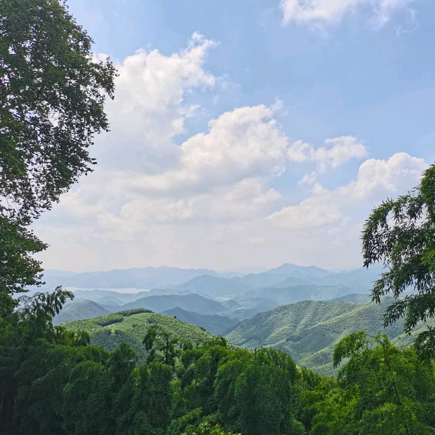 大脑门周老师