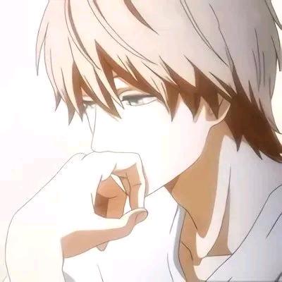椛木槿。