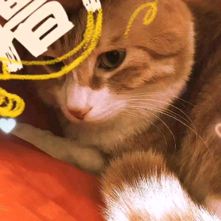 密西西比河
