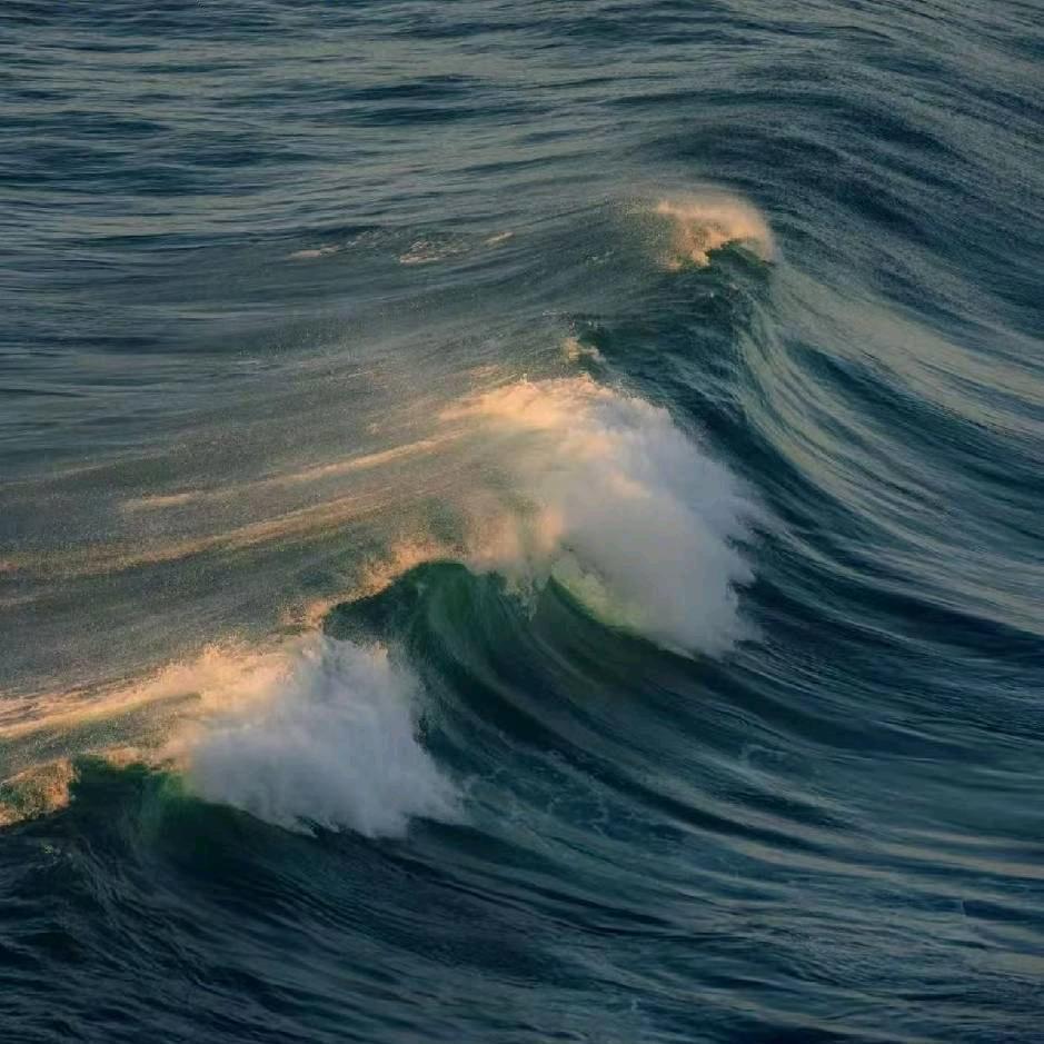 小浪学长🌊
