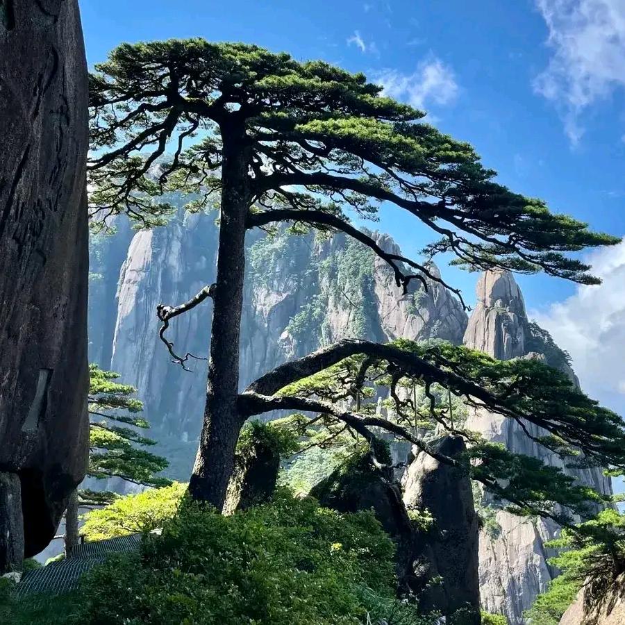 💑🌹🌹良辰美景💕❤️💕