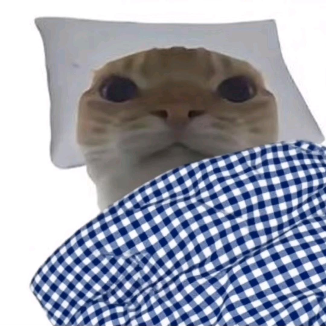 想睡觉
