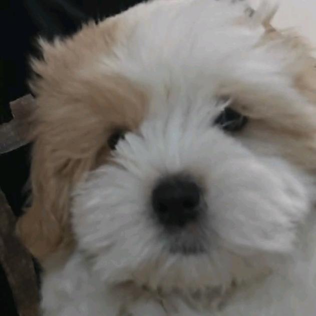 aaaaaaaaaa