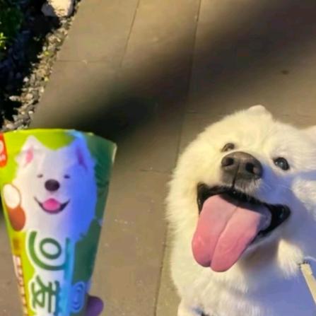 super速🥶🕊️🇵🇸