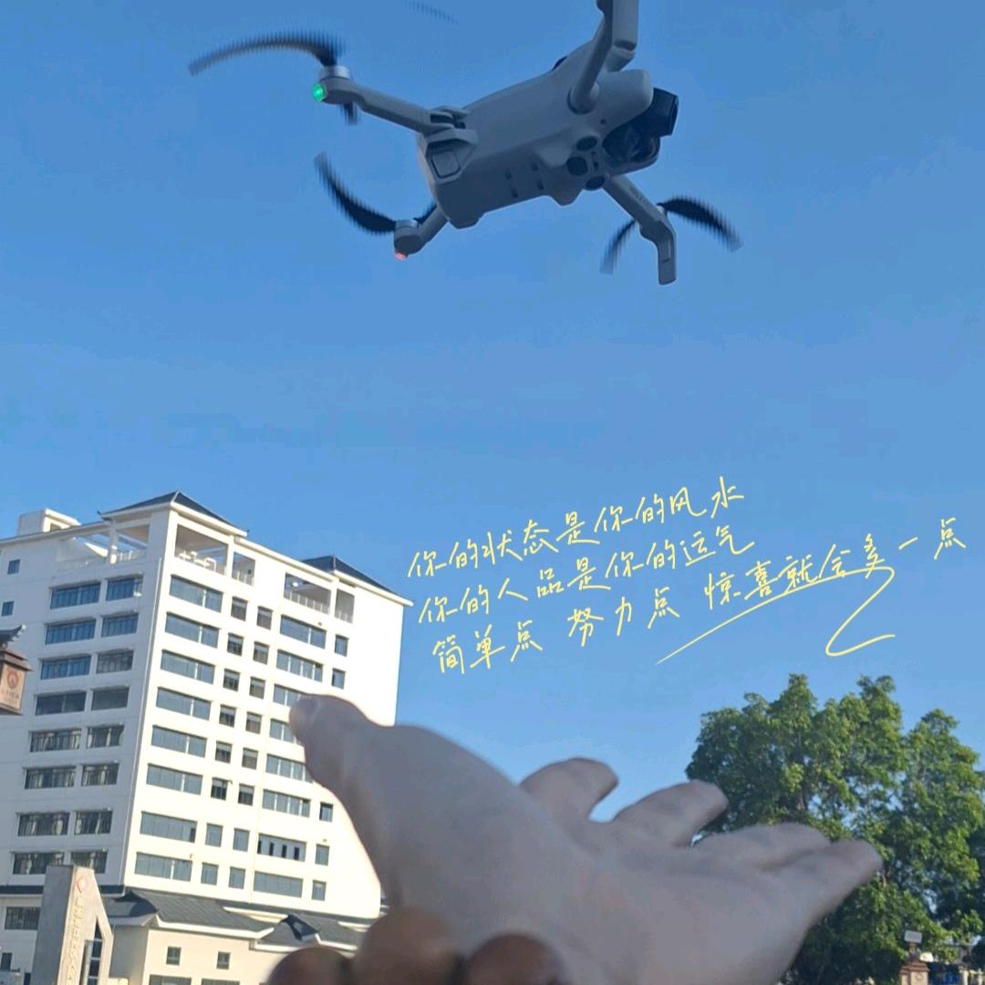 智拓人生
