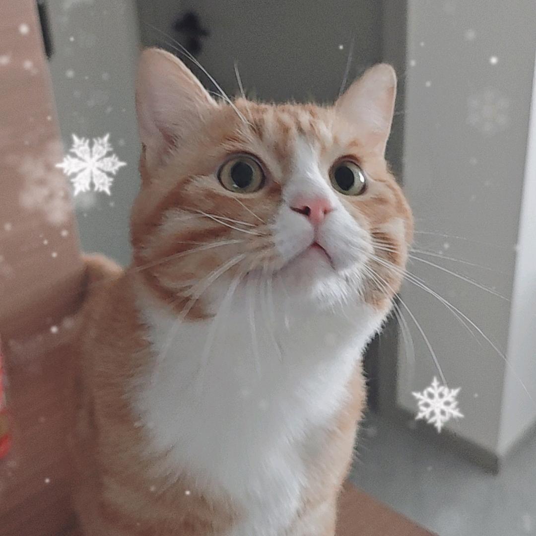 爱理财的天体老师