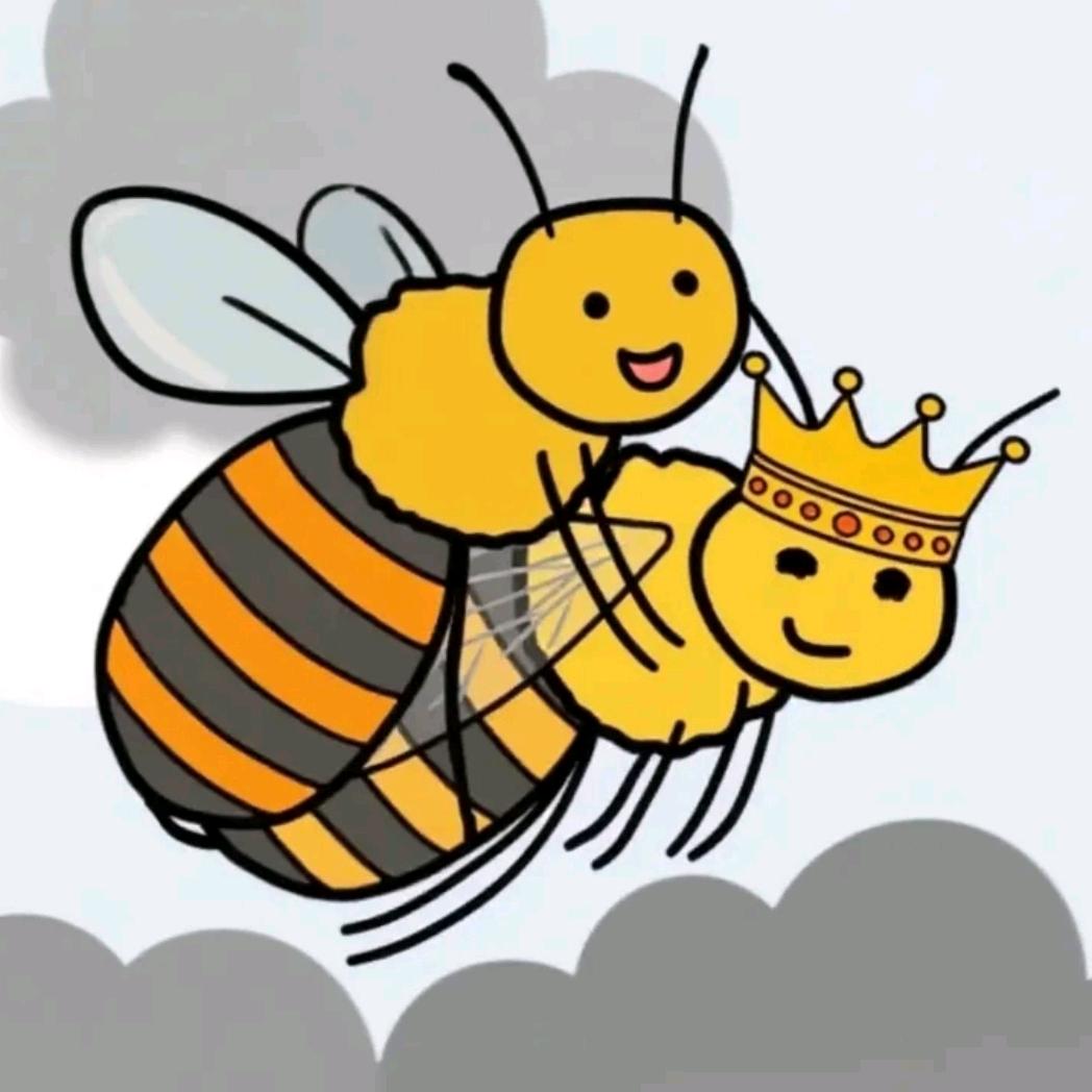 蜂狂笔记🐝