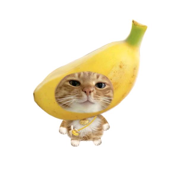 小晗