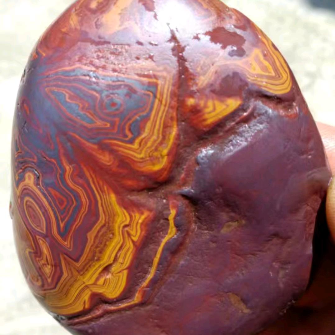 乔哥抖音记录生活