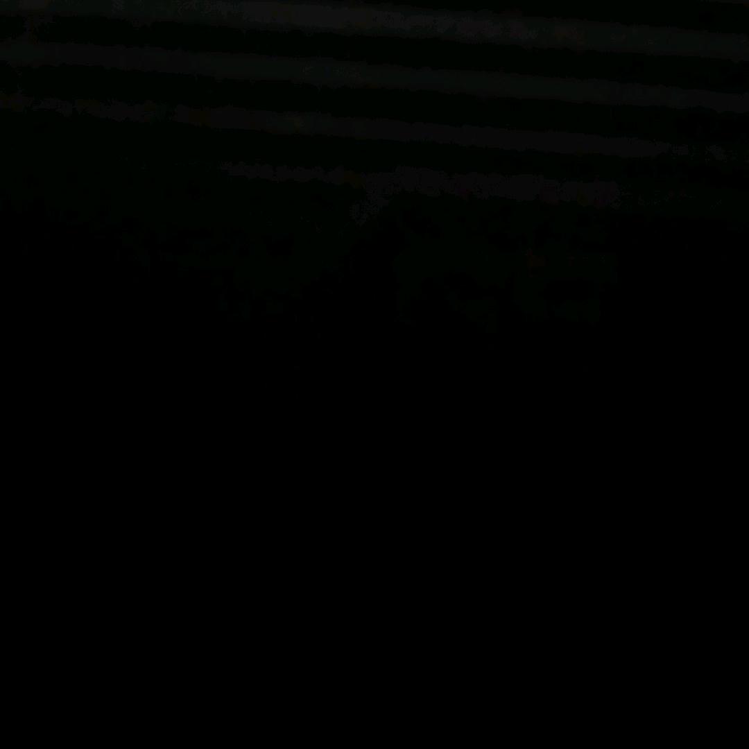 憨豆先生