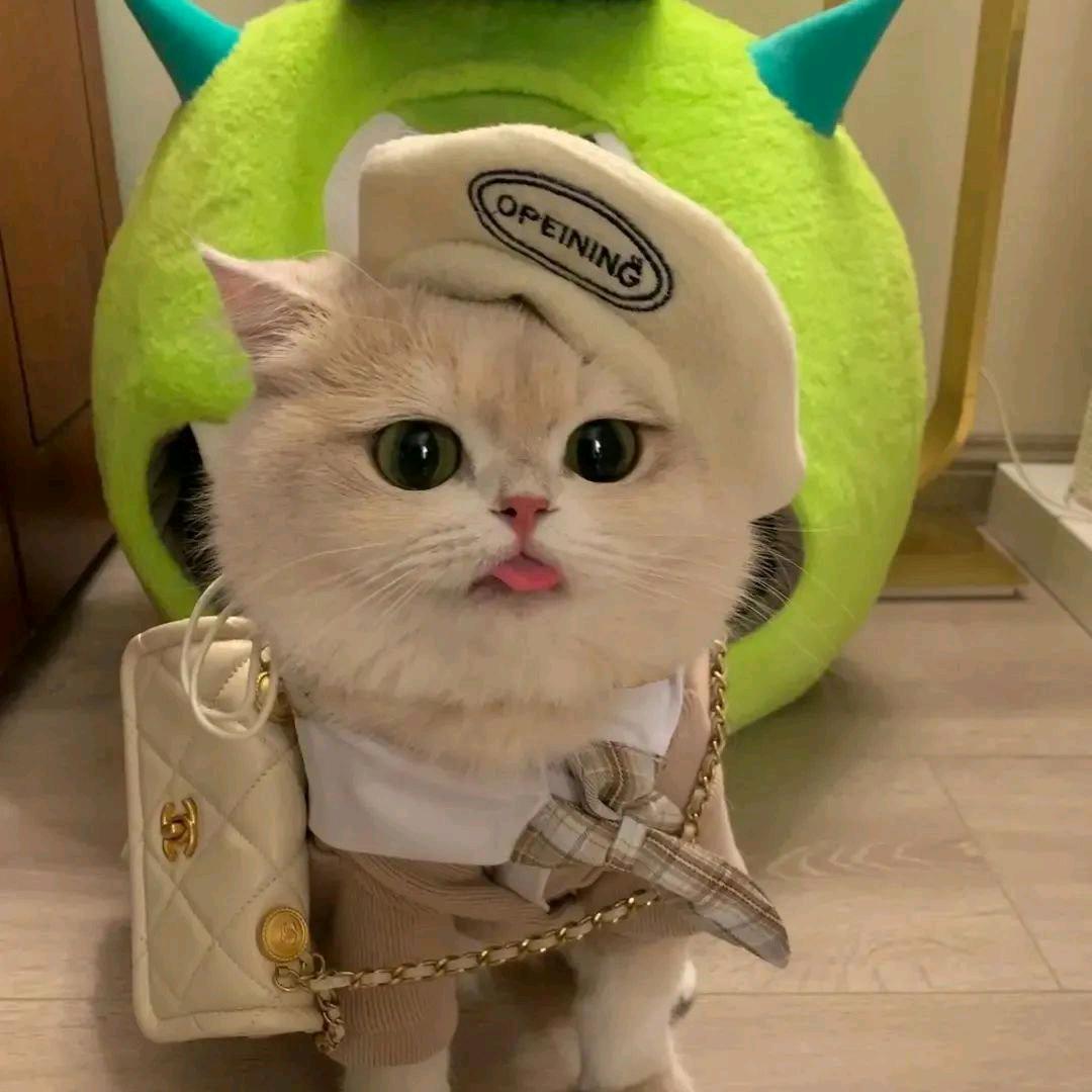 eee头像