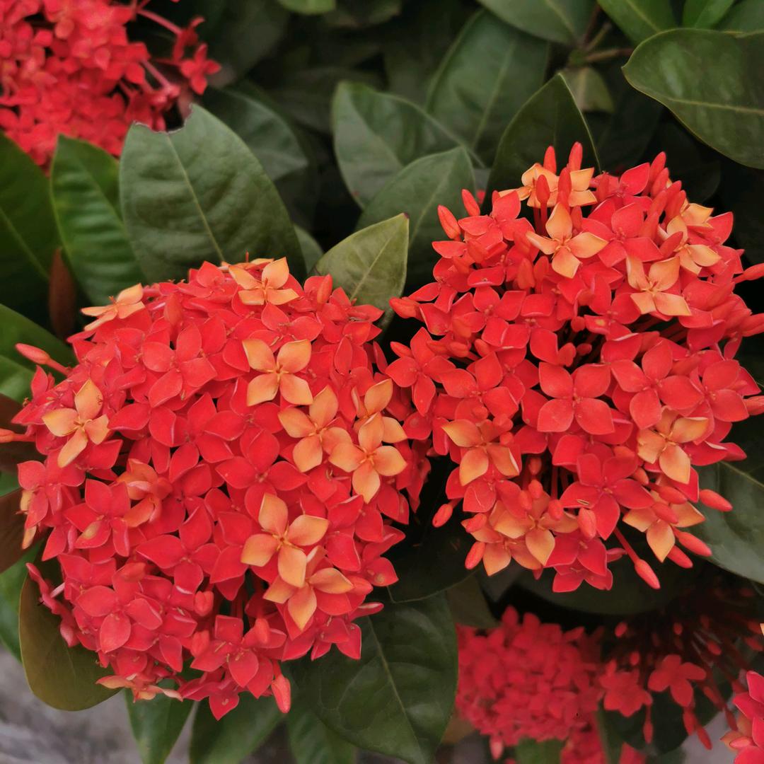 ^0^余生&♥随心^0^