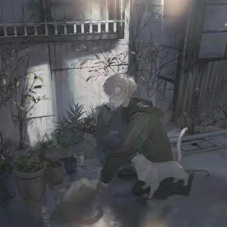 川川⁥