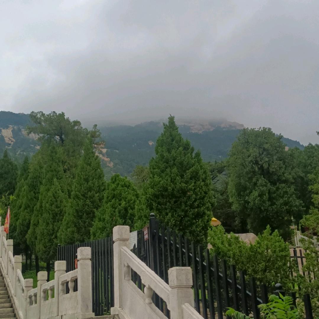 为桐乐痴狂