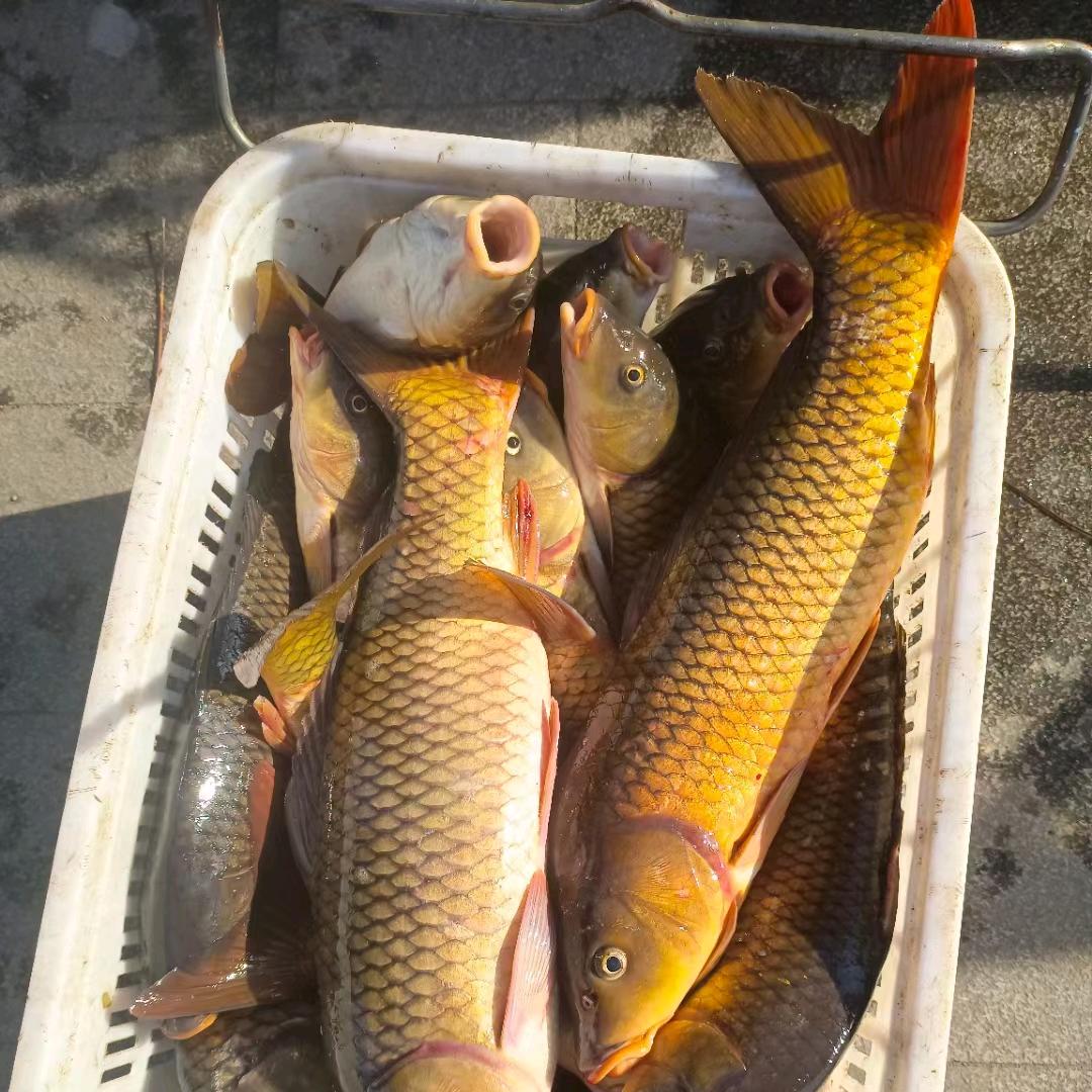 三好果业（感谢关注）