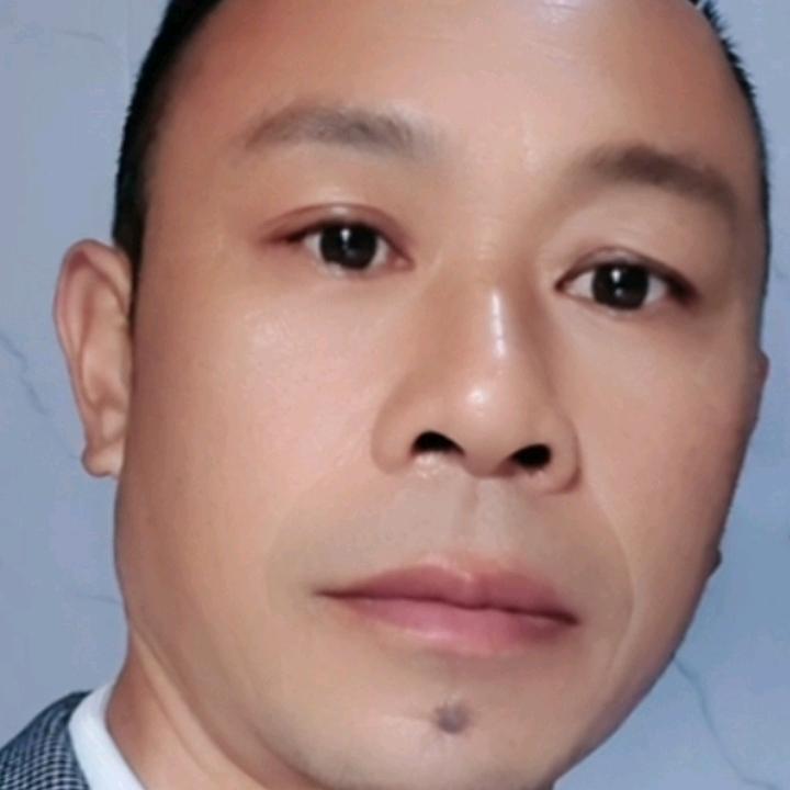 寒月的青松